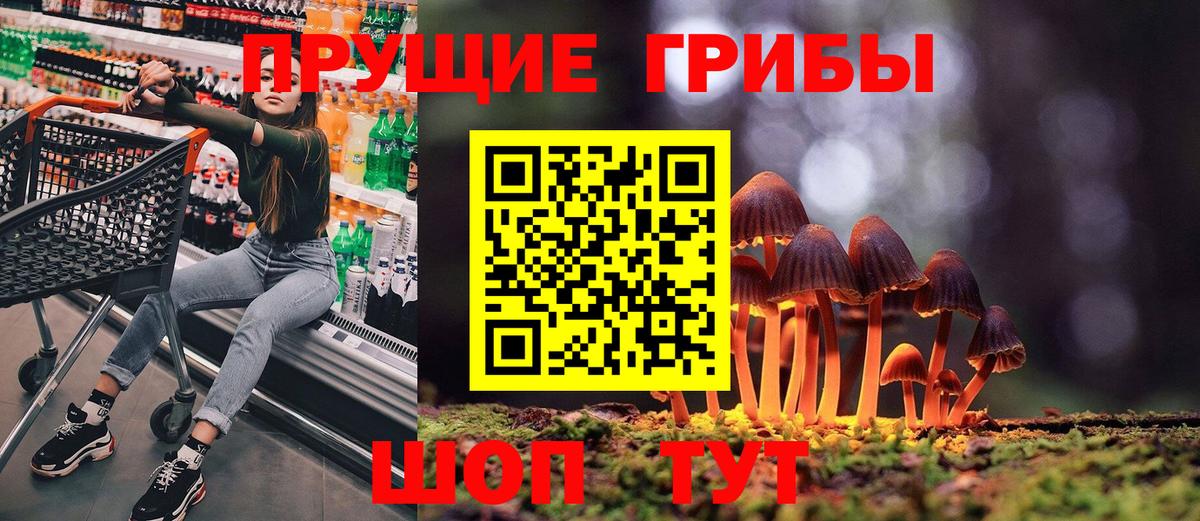Псилоцибиновые грибы Psilocybe Тара